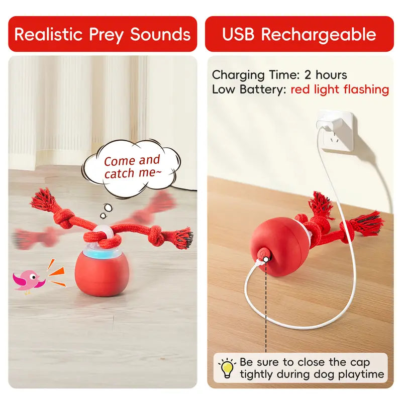 Potaroma Interactive Ball Dog Toy - Automatic Rolling, Squeaky Touch-Activated, Long-Lasting Rechargeable Dynamic Rolling Toy with Tough Rope, Indoor Training Ball for Small/Medium Puppies, Dark Red Boredom Reducer,Familyfun