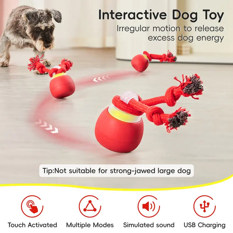Potaroma Interactive Ball Dog Toy - Automatic Rolling, Squeaky Touch-Activated, Long-Lasting Rechargeable Dynamic Rolling Toy with Tough Rope, Indoor Training Ball for Small/Medium Puppies, Dark Red Boredom Reducer,Familyfun