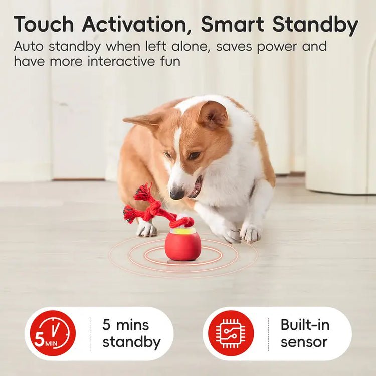 Potaroma Interactive Ball Dog Toy - Automatic Rolling, Squeaky Touch-Activated, Long-Lasting Rechargeable Dynamic Rolling Toy with Tough Rope, Indoor Training Ball for Small/Medium Puppies, Dark Red Boredom Reducer,Familyfun